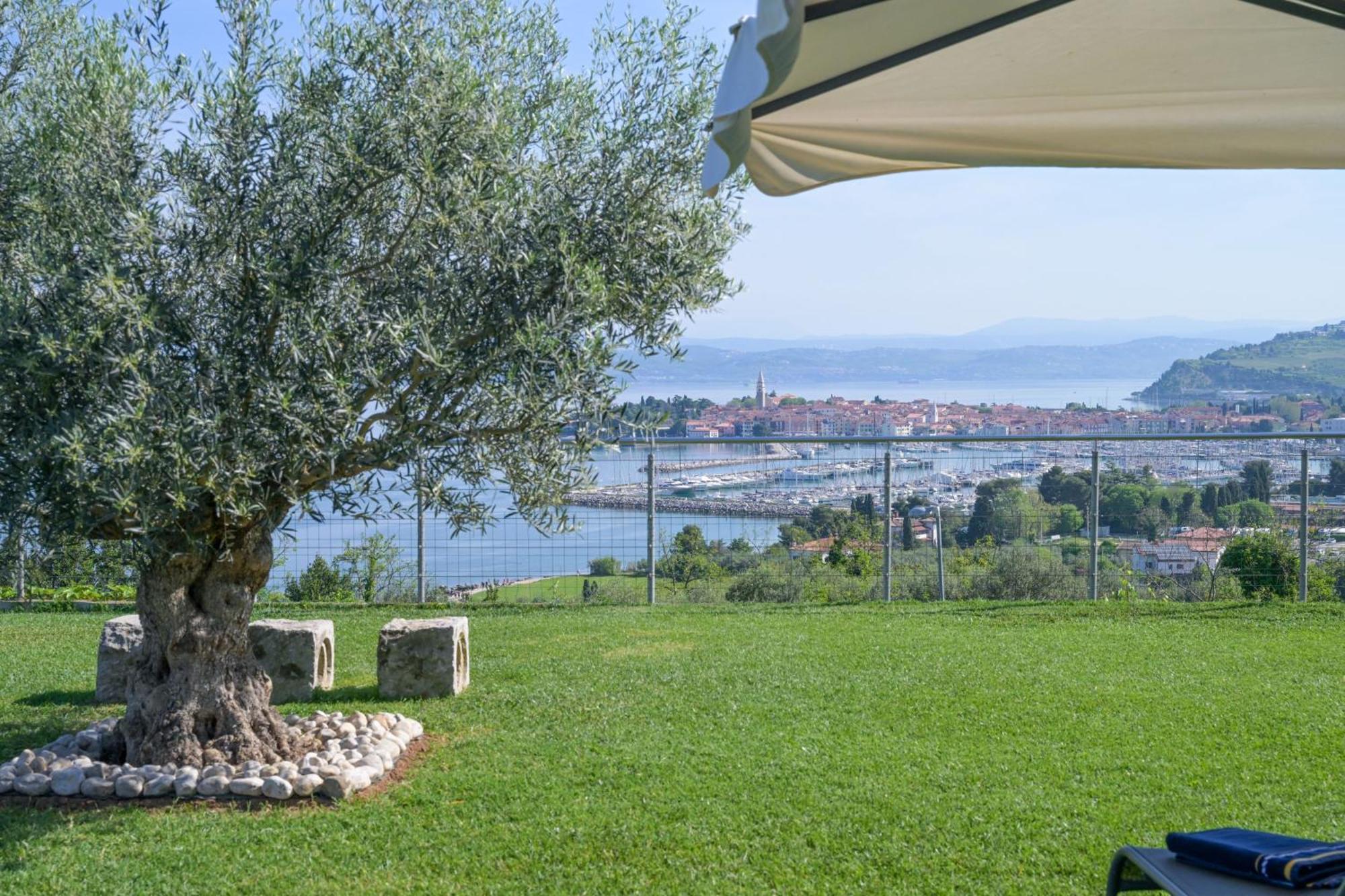 Apartma Bellavista 伊佐拉 外观 照片